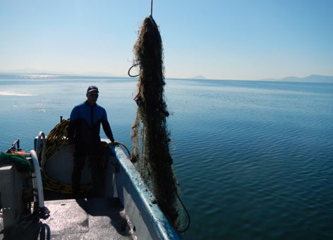 Man on a boat removing derelict nets from Puget Sound.