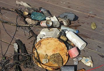 Plastic debris pulled from a Lake Erie marina during a cleanup.