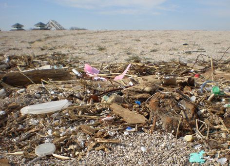 Plastic debris washed up at Maumee Bay State Park on the shores of Lake Erie.