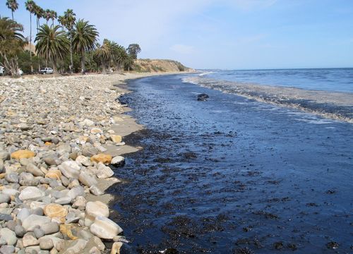 Oil coating rock and sand beach with palm trees.