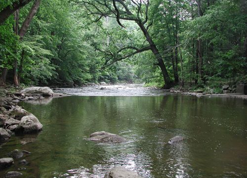 The Raritan River as it runs through a wooded area.