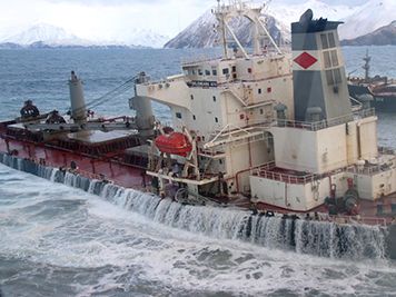 M/V Selendang Ayu broken in two, releasing its fuel and cargo of soybeans.