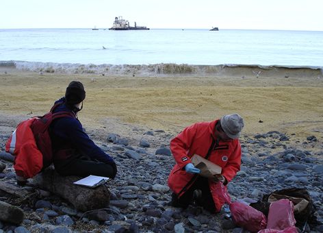 Collecting dead birds on a soybean-covered beach with the Selendang Ayu visible.