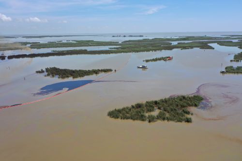 An overflight displays the affected area of marsh environment near Garden Island Bay, Louisiana on April 27, 2025. A safety zone has been enacted in the area and boom has been placed to contain the released product. Image credit: U.S. Coast Guard.