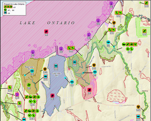 A sample map showing the location and extent of biological resources for a portion of the Environmental Sensitivity Index (ESI) data for Lake Ontario.