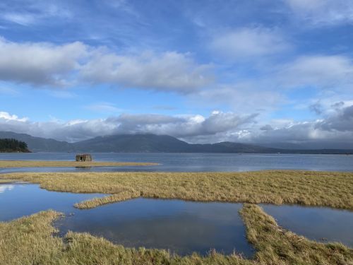 Scenic view of a natural conservation area in Washington.