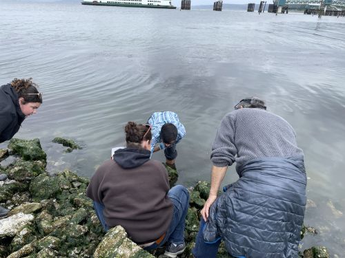 Four training class participants bend down to inspect a rocky coastline. 