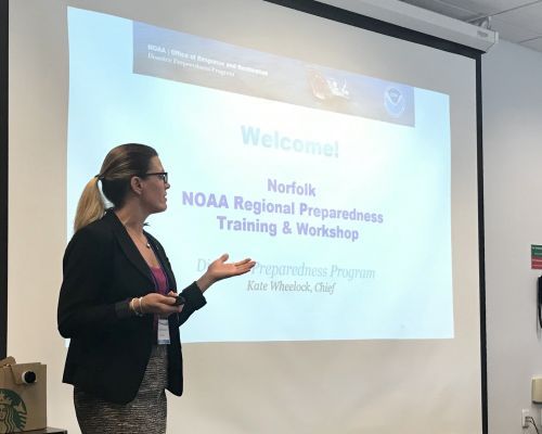 A woman teaches in front of a projection screen.