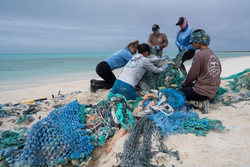 A group of volunteers removing derelict fishing gear from a shoreline.