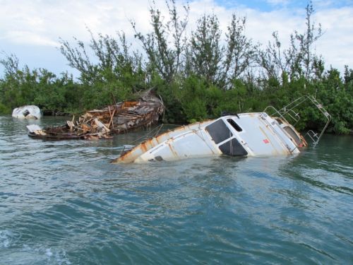 Grounded vessels in mangroves after a hurricane