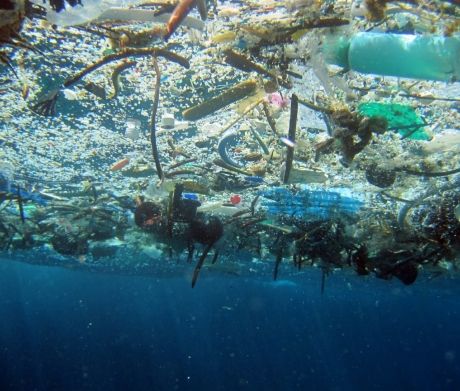 underwater photo looking up through marine debris floating on the surface.