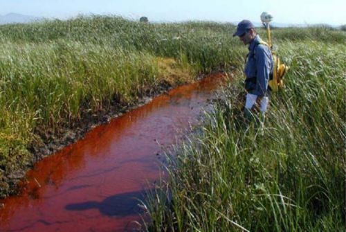  An individual stands next to a diesel fuel spill in a marsh channel.