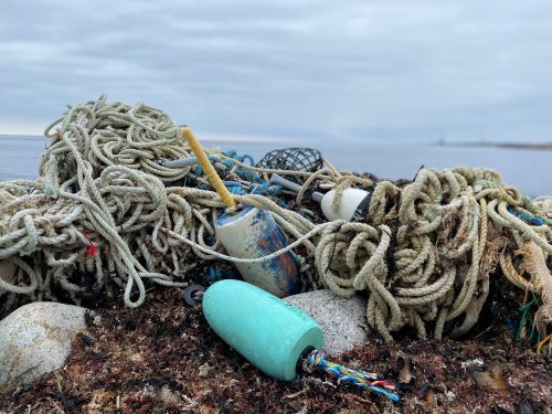 A tangle of rope and other debris on a beach.