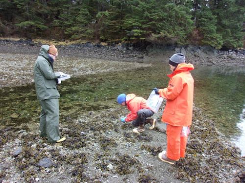 People standing in a shore area.