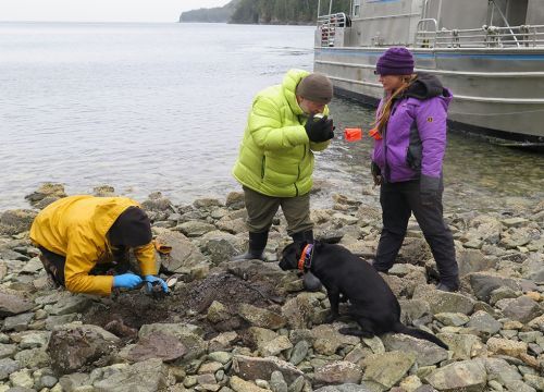 Three people on rocky shore with black dog. Image credit: NOAA.