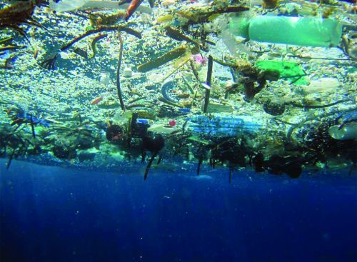 Garbage floating on water as seen from underneath.