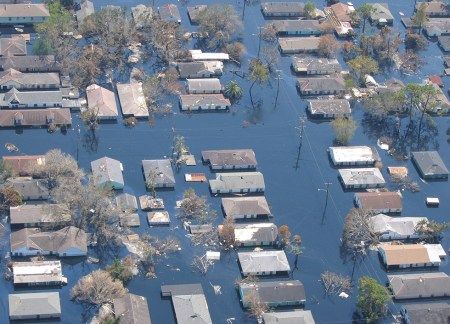 Houses, trees, and powerlines in a New Orleans neighborhood flooded by Hurricane