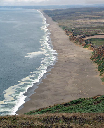 Photo: The long shoreline of Point Reyes Beach.