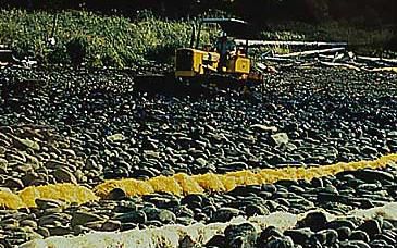 Heavy machinery on oiled beach.