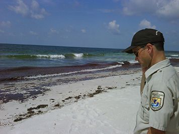 U.S. Fish and Wildlife Service employee on a beach with waves washing up oil.