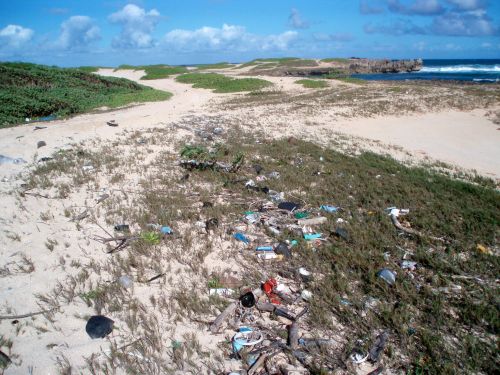 Littered beach in Hawaii.