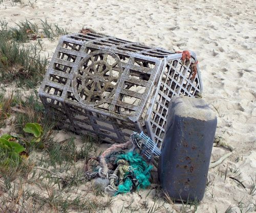 Derelict fishing gear debris in Hawaii.