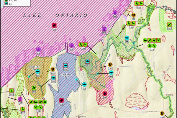 A sample map showing the location and extent of biological resources for a portion of the Environmental Sensitivity Index (ESI) data for Lake Ontario.