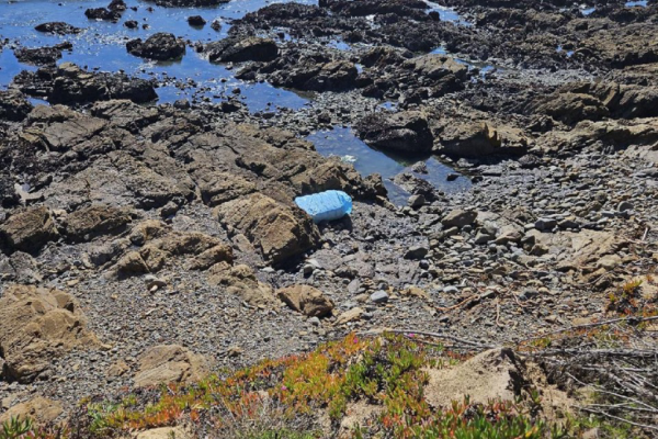A container is seen washed ashore a rocky coastline in California.