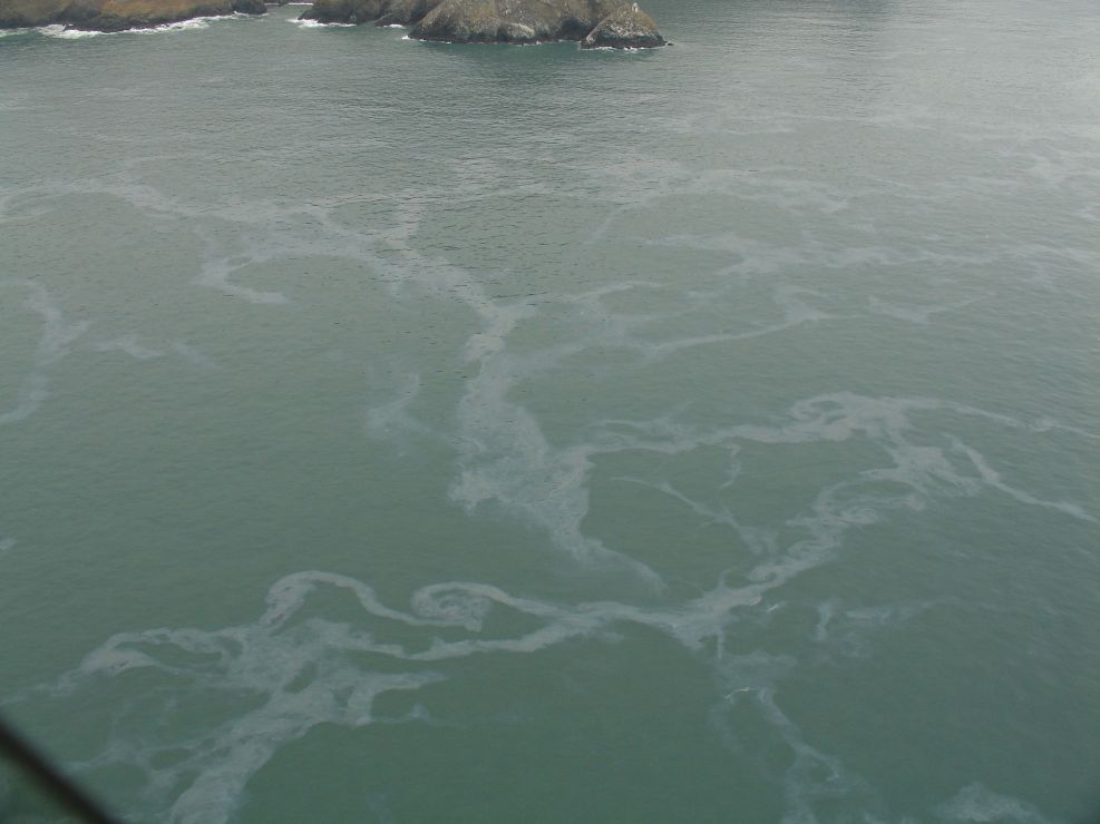 Swirls of oil visible on water in an aerial image.