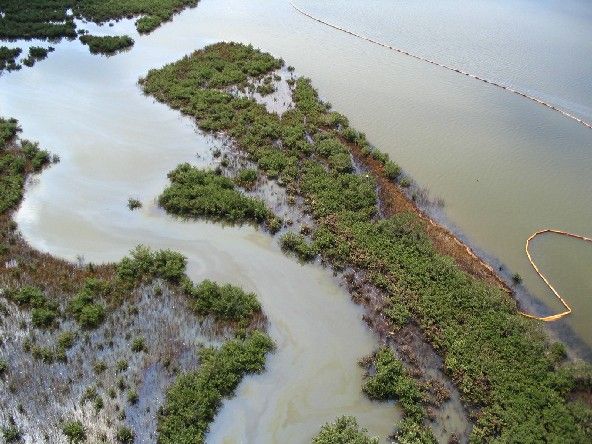 Aerial view of oil in a marsh.
