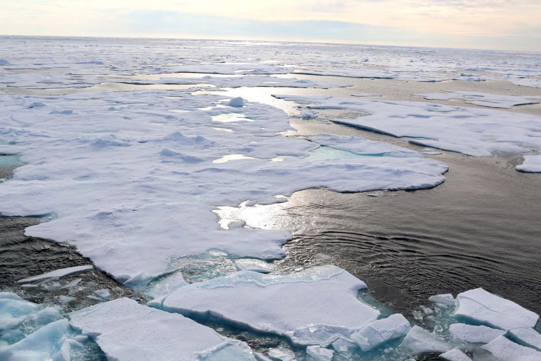 Arctic sea ice floating on the ocean to the horizon.