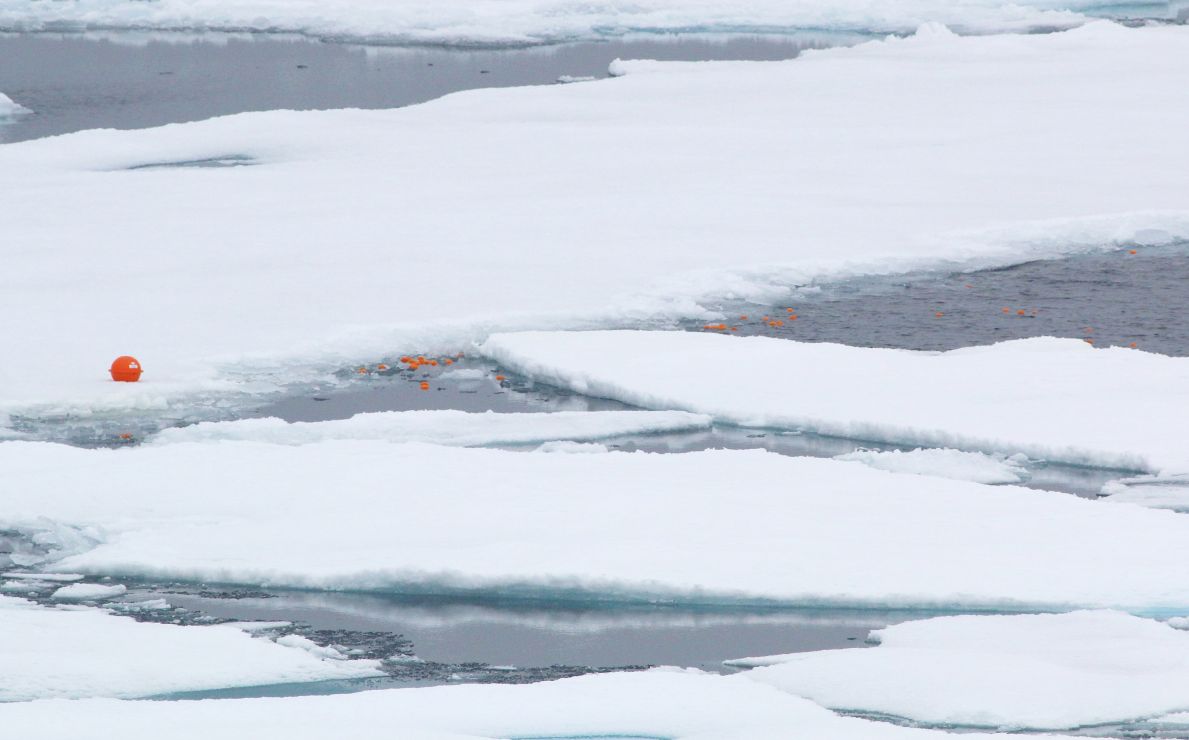 An iSphere buoy and oranges floating on the sea ice and ocean surface.