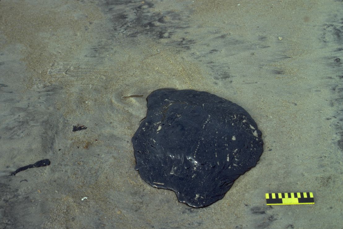 Photo: A flat pancake of oil on sand.