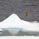 Oceanographic buoy floating at sea among ice.