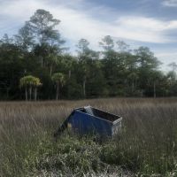 A dumpster in a marsh. 
