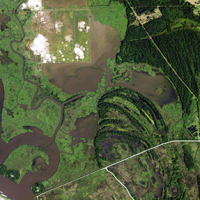 An aerial view of a marsh. 