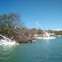Several sinking, derelict vessels along a shoreline.
