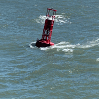 A floating buoy-like object in the water.