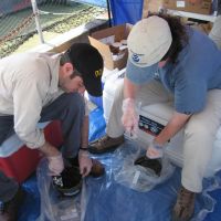 Two people working with sediment samples.