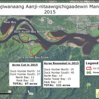 A map of "Nagaajiwanaang Aanji-nitaawigichigaadewin Manoonmin" in 2015 labeling the acres of land cut and the areas reseeded. 