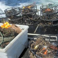Crab pots on the deck of a boat.