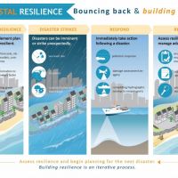 A graphic depicting coastal resilience phases.