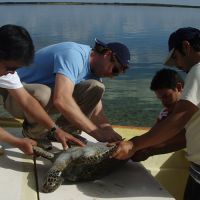 A group of people on a boat holding a sea turtle.