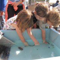 Children touching eels at science booth. NOAA.
