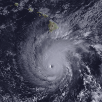 A satellite image of a hurricane. 