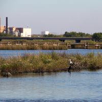 Marsh area with industrial buildings in background.