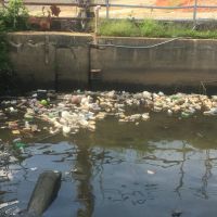 Plastic bottles and other debris in an urban waterbody.