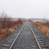 Railroad tracks receding into the distance