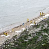 Aerial view of workers on beach.