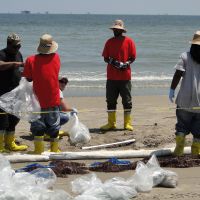 Workers using pom-poms to absorb oil washed onto the beach.
